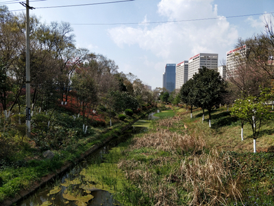 滇池口述環(huán)境史 人湖共生關(guān)系的變遷與啟示——基于西南環(huán)境史研究所第1期調(diào)研報告的自然科學研究視角